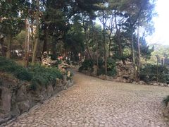 -叶家花园