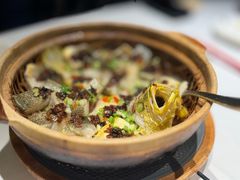 砂锅藤椒焗多宝鱼-新雅(丰盛里店)