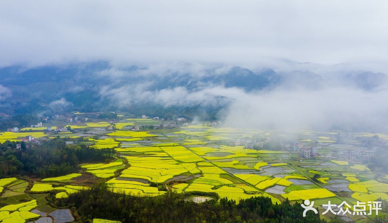 春意在田间地头慢慢铺开，万亩油菜花成片绽放