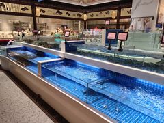 -渔人码头(中南店)