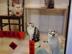 -EGO原创机械密室逃脱(朝阳大悦城2店)