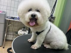 -沐沐家宠物(成寿寺店)