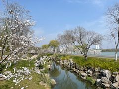 -羊山湖公园