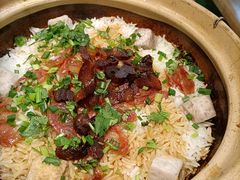 -洪氏嗨捞·猪肚鸡火锅(阳光天地店)
