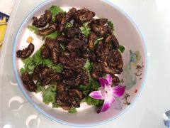 -光辉公鸡馆(事业小区店)