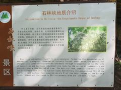 -京东石林峡风景区