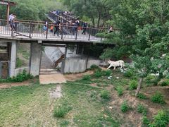 -石家庄市动物园