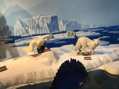 -陕西自然博物馆