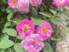 -好宜家眼视光·蔡司店(临汾店)