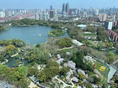 -上海新发展亚太JW万豪酒店
