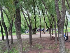 -长春公园(普阳街道)