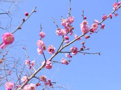 -游子山休闲旅游区