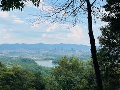 -大奇山国家森林公园