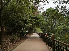 -东莞市大岭山森林公园