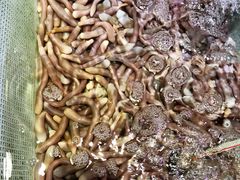 -越百海海鲜蒸锅(乐山店)