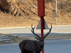 -大连武术文化博物馆