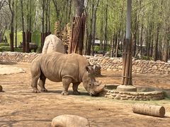 -北京野生动物园