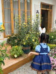 -DORA kids 朵拉儿童摄影花园店