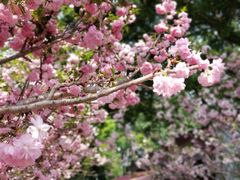 -观澜湖生态运动公社