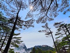 -黄山风景区