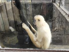 -昆明动物园