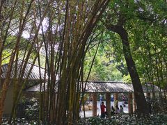 -晓港公园