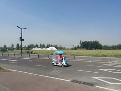 -中国天府农业博览园