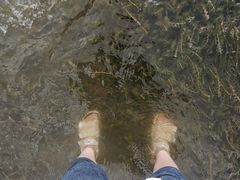 -阳宗海湿地
