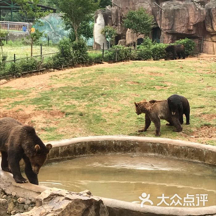 无锡动物园·太湖欢乐园