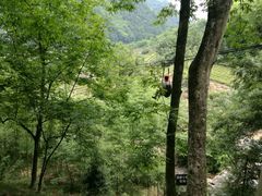 -藏龙百瀑风景区