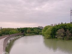 -昆山城市生态森林公园