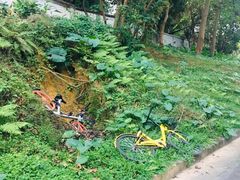 -广东外语外贸大学(白云山校区)