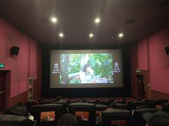 -华谊兄弟影院(IMAX洋桥店)