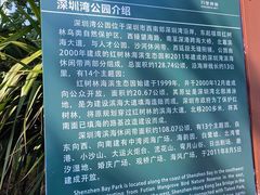 -深圳湾公园(南山区)