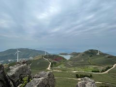 -东白山