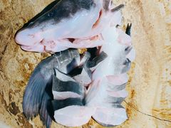 江团鱼-云中鱼蒸汽石锅鱼(浦东食品城店)
