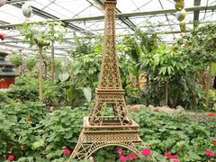 -南宫五洲植物乐园