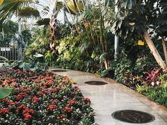-北京植物园-展览温室