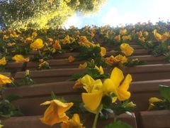 -云南民族大观园