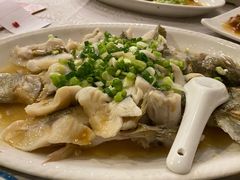香葱淋鲈鱼-粤·向群饭店(龙津东路总店)