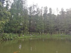 -珠海圆明新园