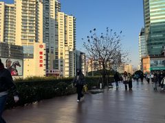 -美罗城