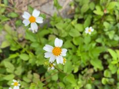 -水濂山森林公园