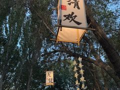-十亩森林