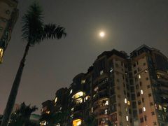 -骏景花园
