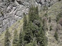 -叠溪松坪沟景区