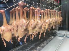 -三强鸽子(中原路店)