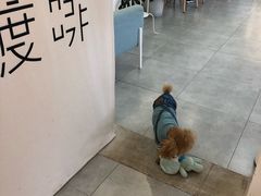 -边渡咖啡烘焙店(昙华林店)