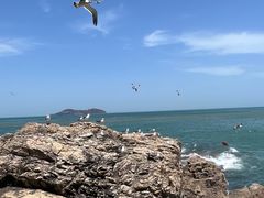 -摩天岭风景区