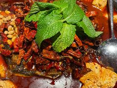 -探鱼·鲜青椒爽麻烤鱼(西南商都店)